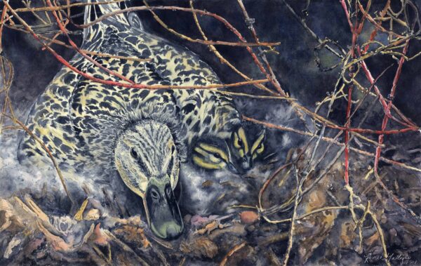 Under the Brambles